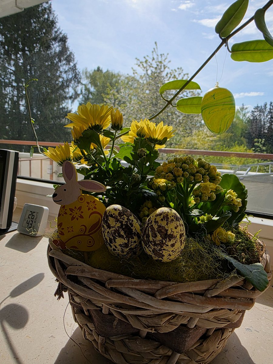 Frohe und gesegnete #Ostern 🐇⚘️💐
