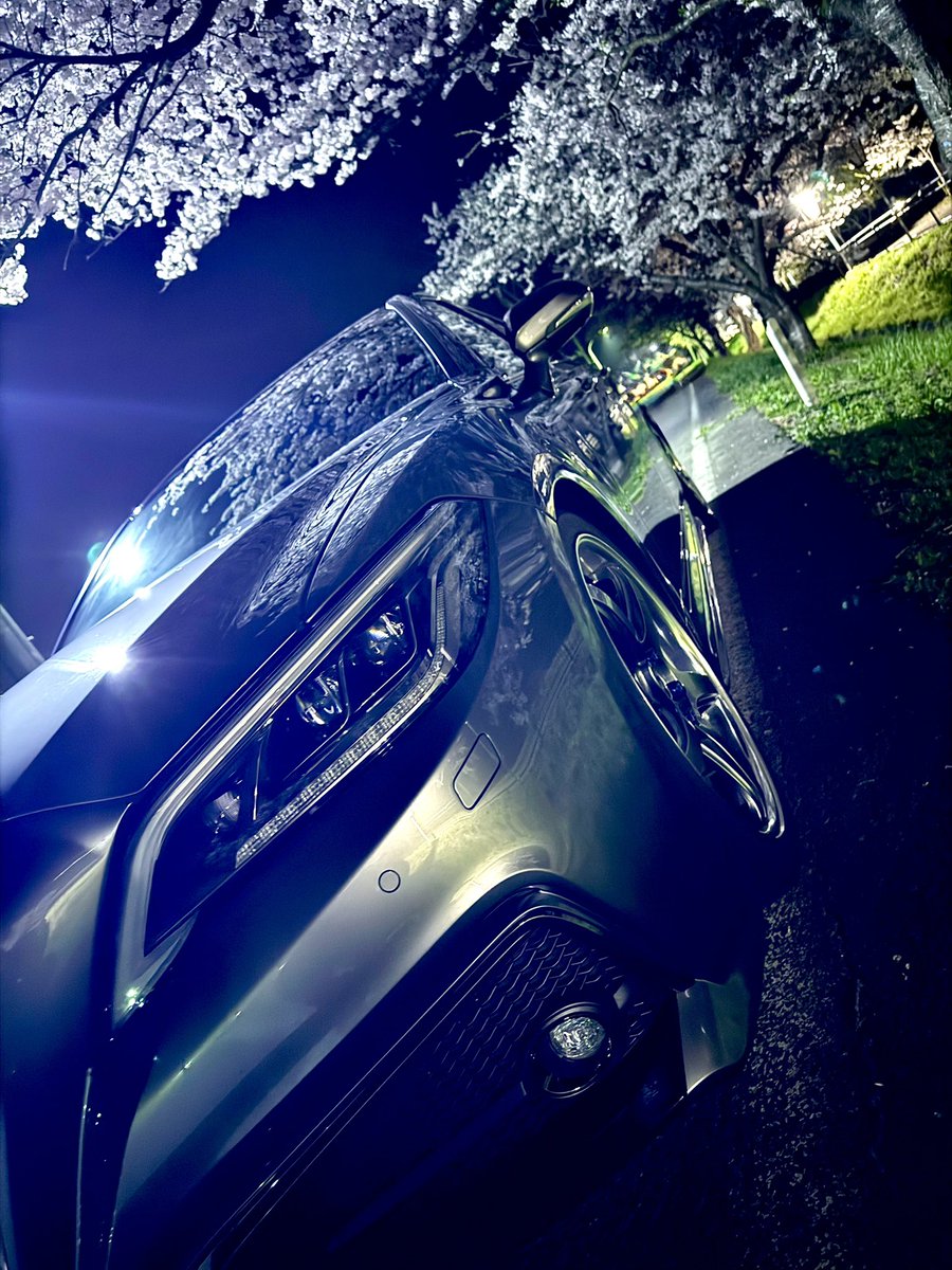 220crownLIIPM's tweet photo. #トヨタ乗りと繋がろう2025春
 #これを見た人は愛車のドアップ上げろ
カタログみたいな写真撮れた
iPhoneのナイトモードイイね👍
CROWN ReBORN https://t.co/92Z3j9lMuP