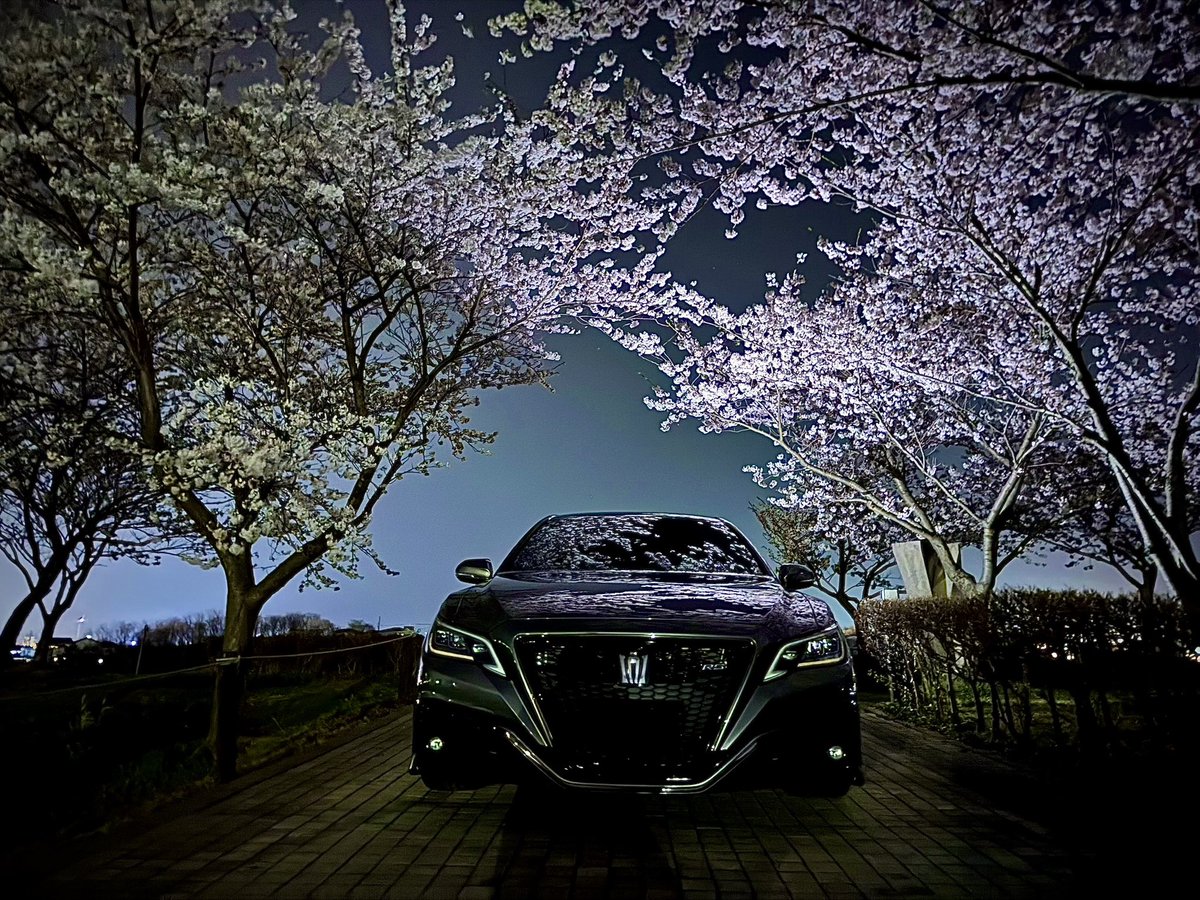 220crownLIIPM's tweet photo. #トヨタ乗りと繋がろう2025春
 #これを見た人は愛車のドアップ上げろ
カタログみたいな写真撮れた
iPhoneのナイトモードイイね👍
CROWN ReBORN https://t.co/92Z3j9lMuP