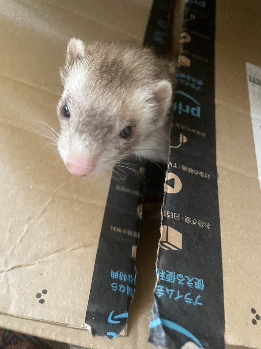 検品でーす