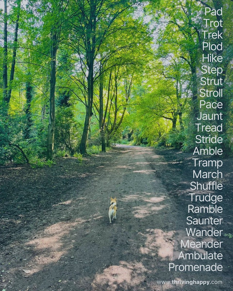 ThrivingHappy's tweet photo. This is your sign to go for a walk 💚

#thrivinghappy #liveyourbestlife #momentsofjoy #walking #HampsteadHeath https://t.co/9rtdcnNTf4