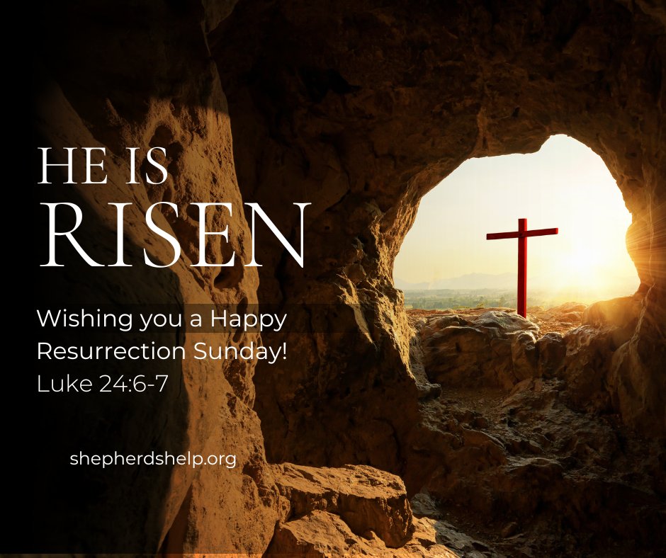 _shepherdshelp's tweet photo. https://t.co/IH4iBJ6NRU