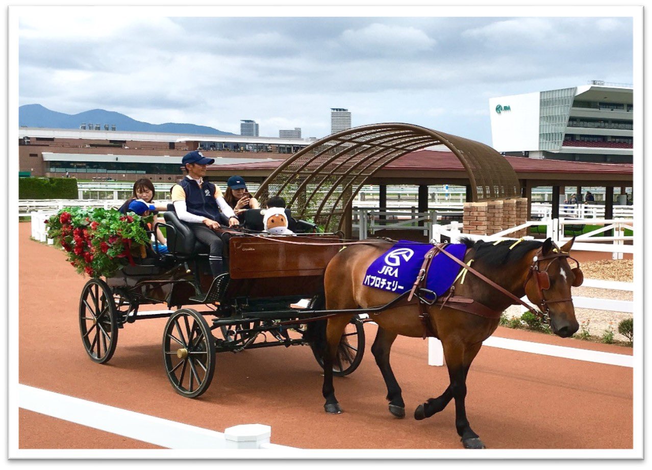 JRA札幌競馬場【公式】 (@JRASapporoRC) / X JRA札幌競馬場【公式】 (@JRASapporoRC) / X