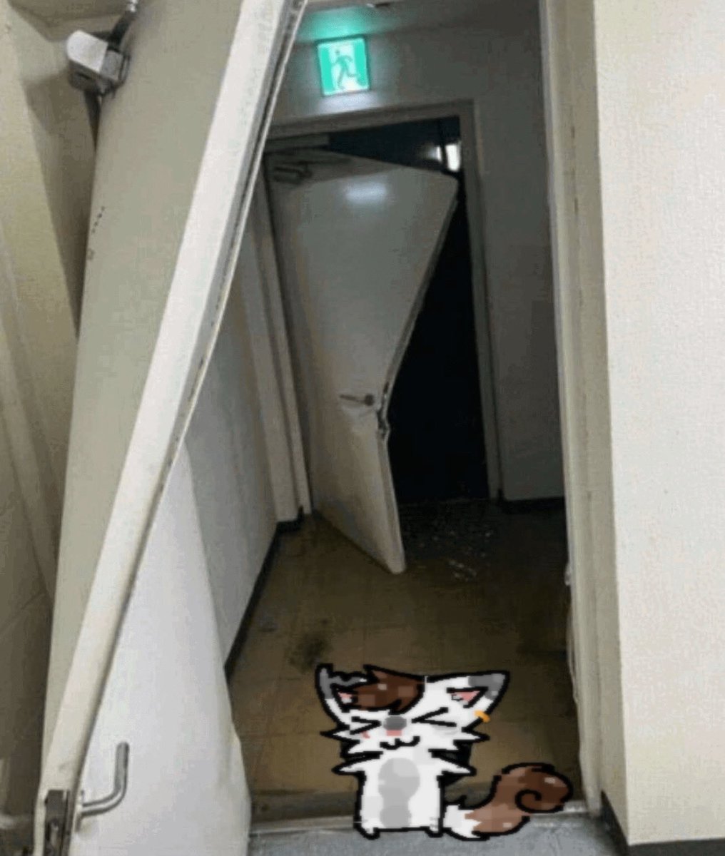 pov you shook a bag of cat treats: