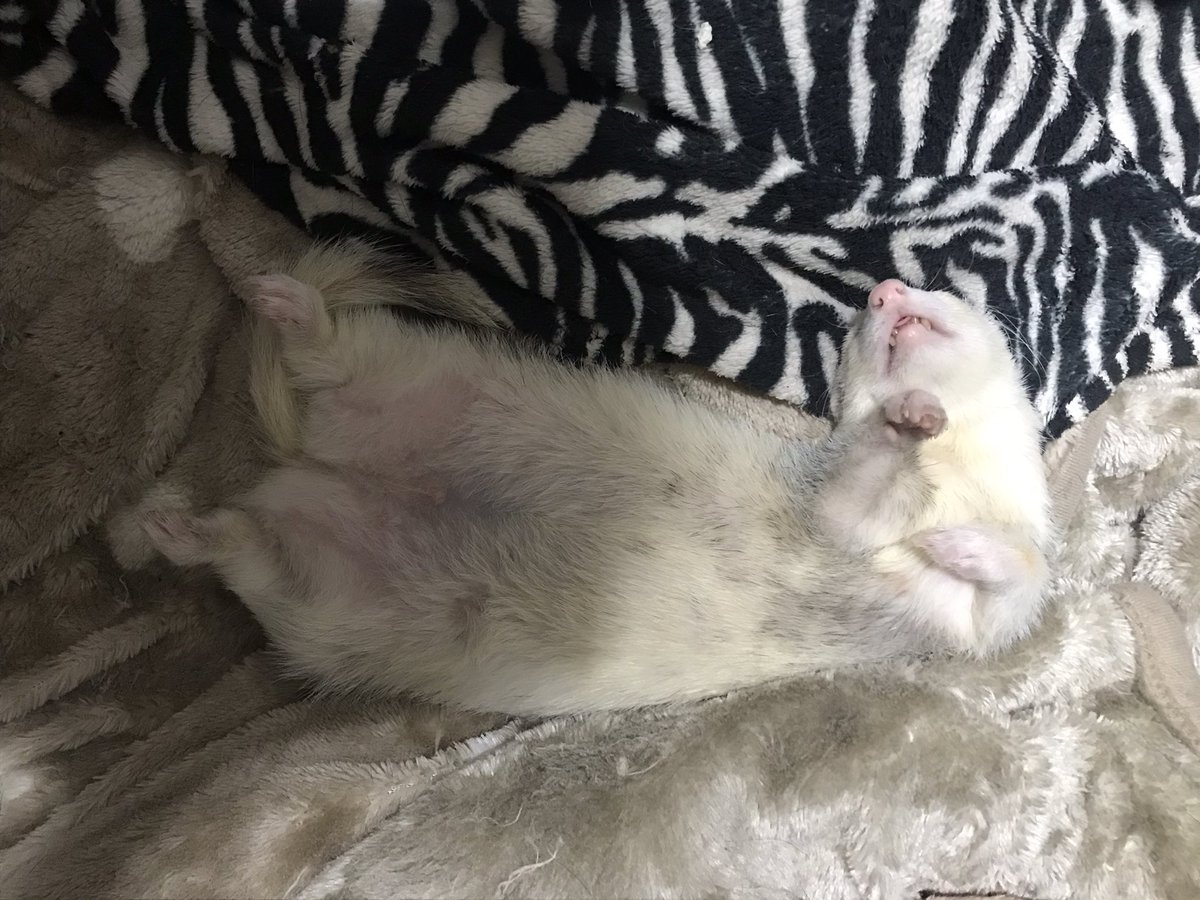 がっぺムカつく