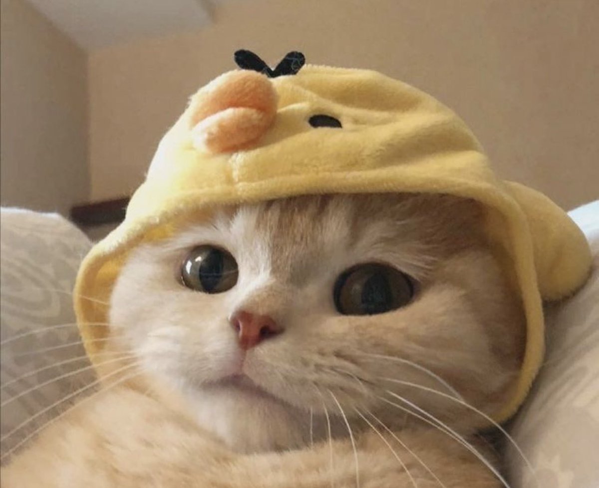 YellowsLight_'s tweet image. Easter Trials wohoo

Twitch.tv/yellowslight