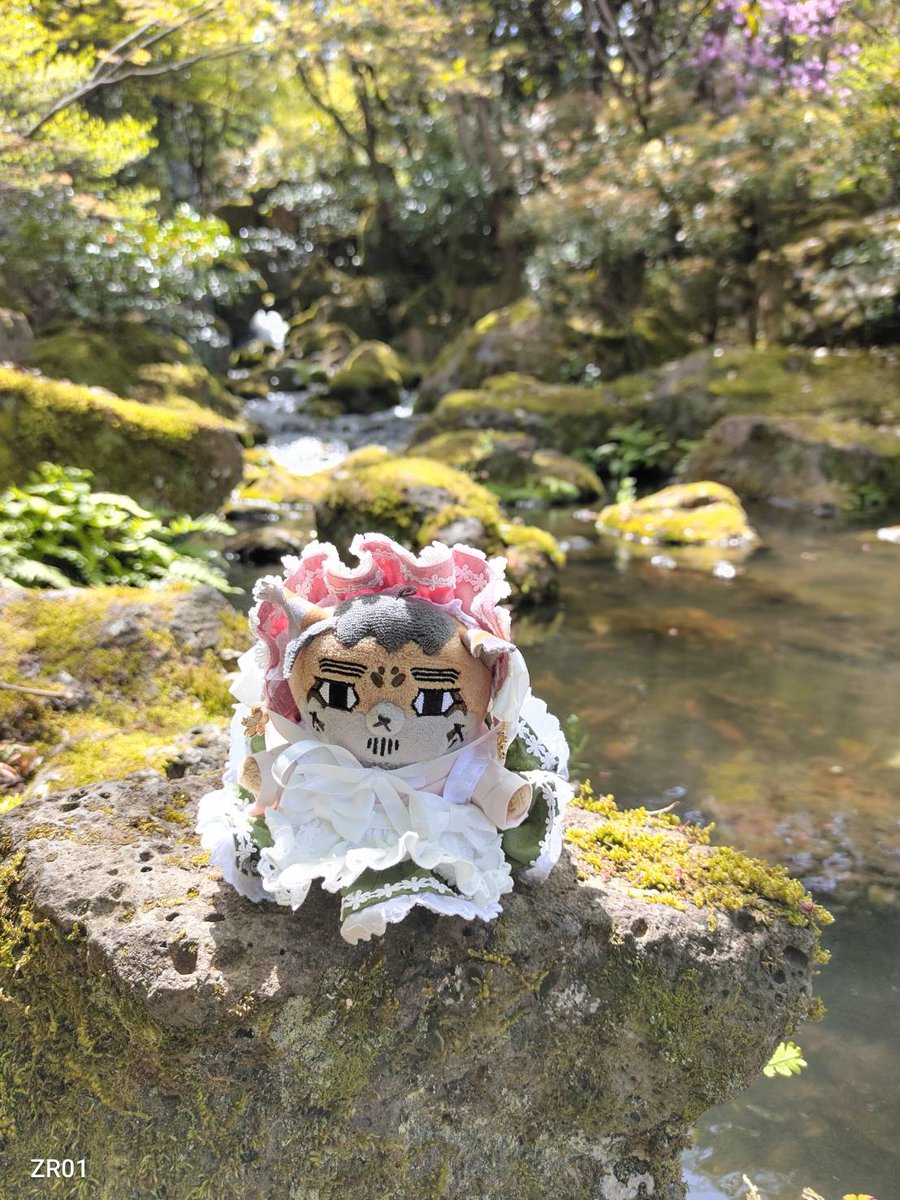 ぶらうんありす tweet media