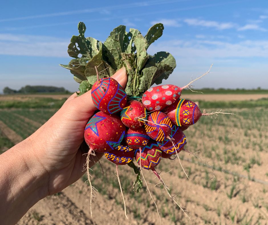 calvallseco's tweet photo. Que tingueu unes bones Pasqües! 🐣
¡Que tengáis unas buenas Pascuas! 
.
.
#agriculturaecologica #pascua2025 #monadepasquanatural https://t.co/fl2dKvhitO