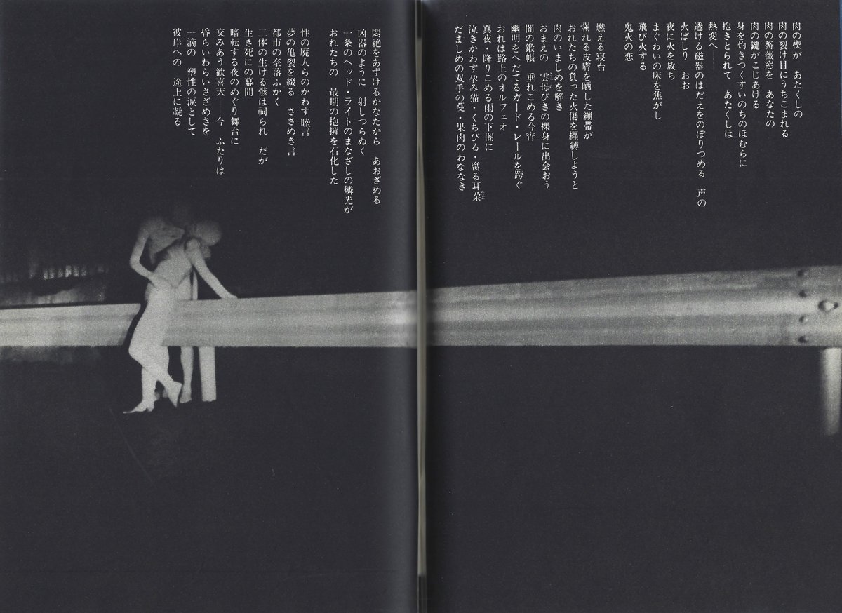 archivo límite tweet media