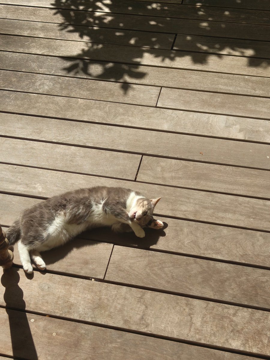 lowexponentrsa's tweet photo. @Mimi_pims Pims conseille le soleil à Pims https://t.co/zGlffHF9JO