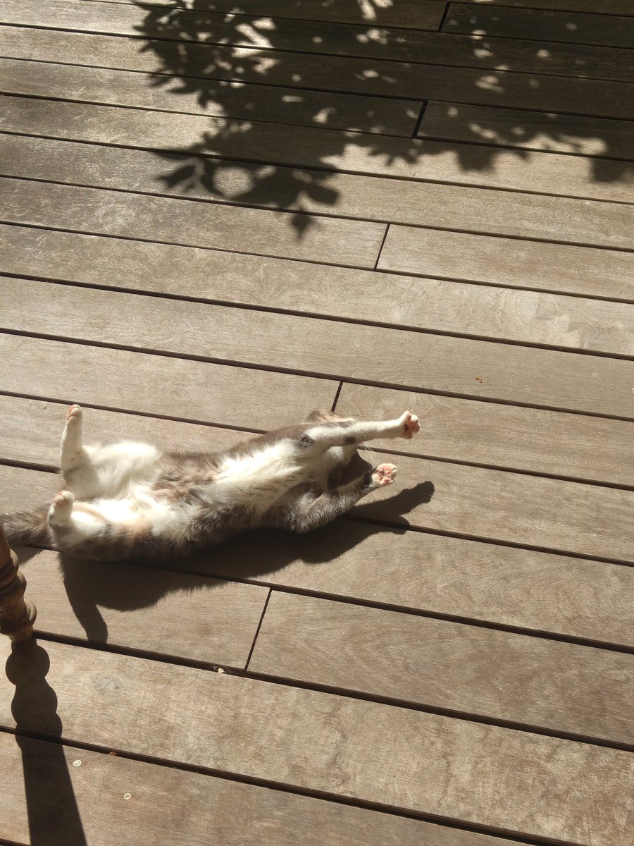 lowexponentrsa's tweet photo. @Mimi_pims Pims conseille le soleil à Pims https://t.co/zGlffHF9JO