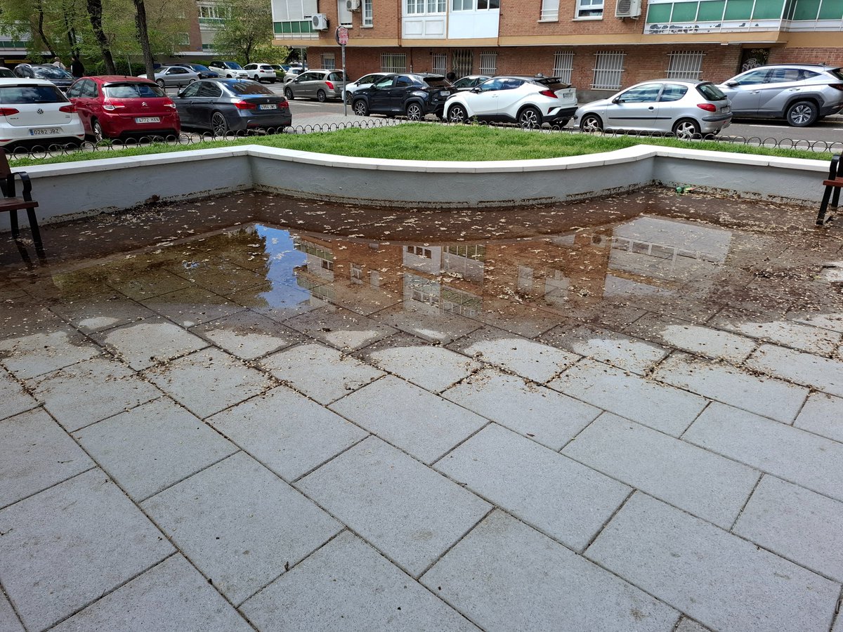 A pesar de los avisos a <a href="/Lineamadrid/">Línea Madrid</a>, esta esquina de la renovada plaza Dr Barraquer se inunda con la lluvia. Hay una alcantarilla ahí, pero se obstruye por una limpieza deficiente: se resolvería barriendo periódicamente las hojas y semillas que caen, pero no se barre nunca...
