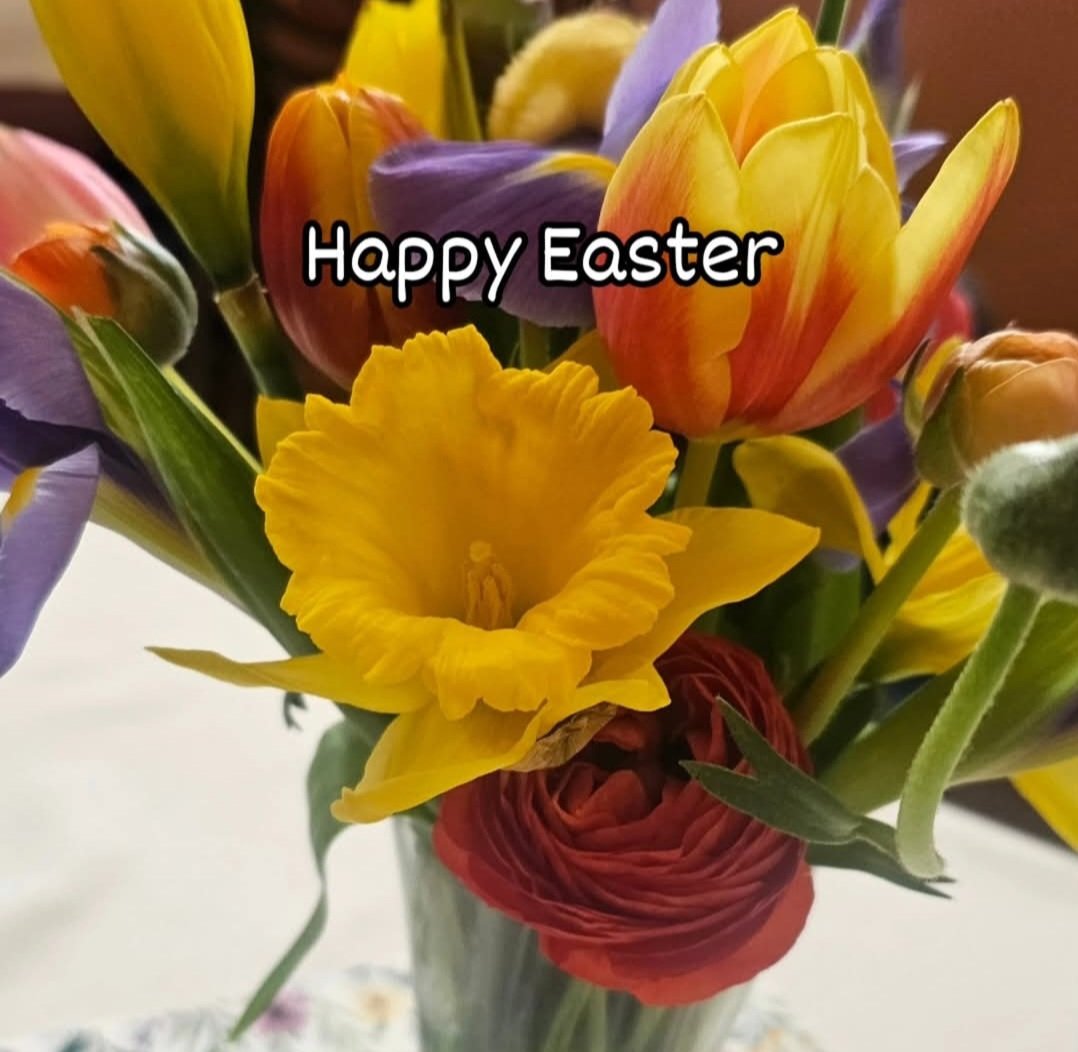 Sheryl_37's tweet photo. Happy Easter
He is risen 🙌 https://t.co/02NmvZWmpU