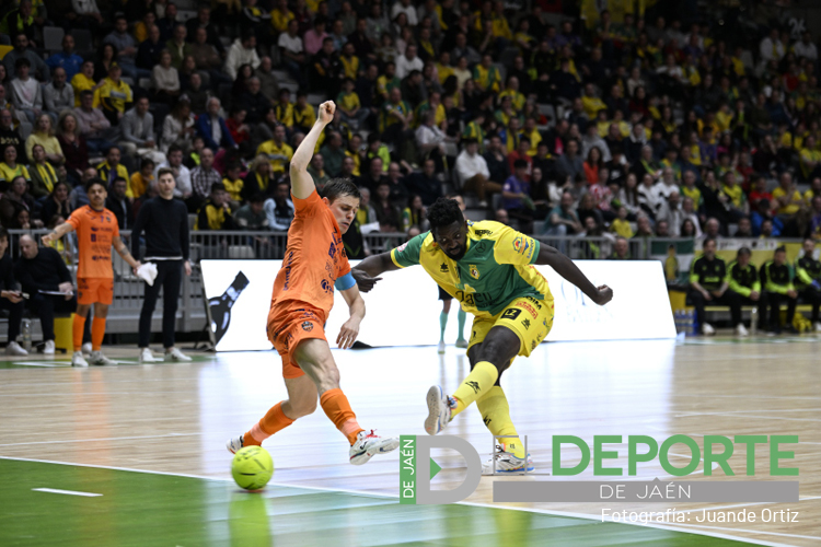 eldeportedejaen's tweet photo. 🟡🙌🏻 Repasamos las mejores imágenes del triunfo de @JaenFS ante Burela y de la afición en el Olivo Arena

📸 Fotos de @JuandeOrBea 

Galería completa aquí⤵️
https://t.co/48NwtBElC6 https://t.co/pihj3W4I2h