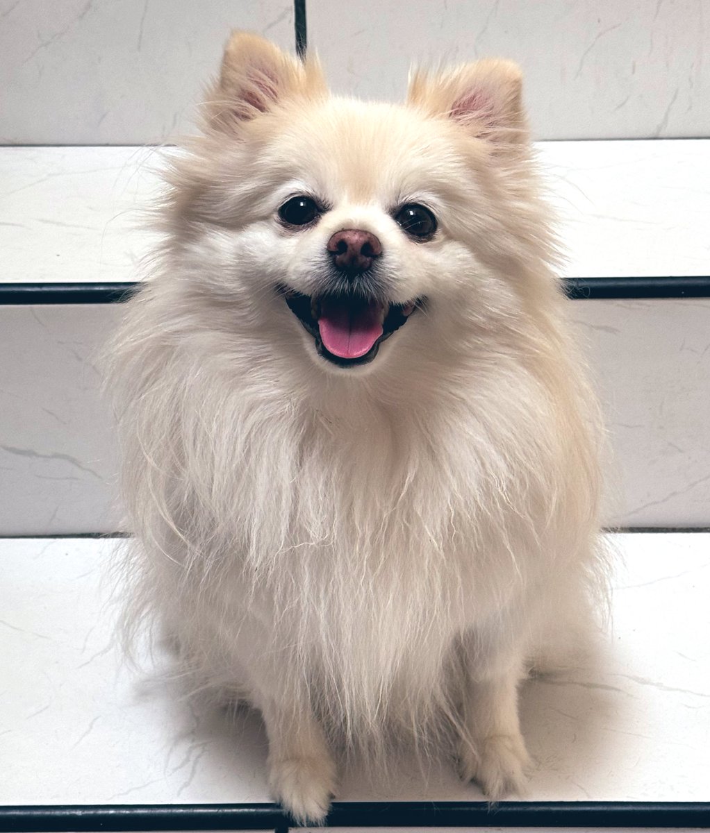 Kajimaru tweet media