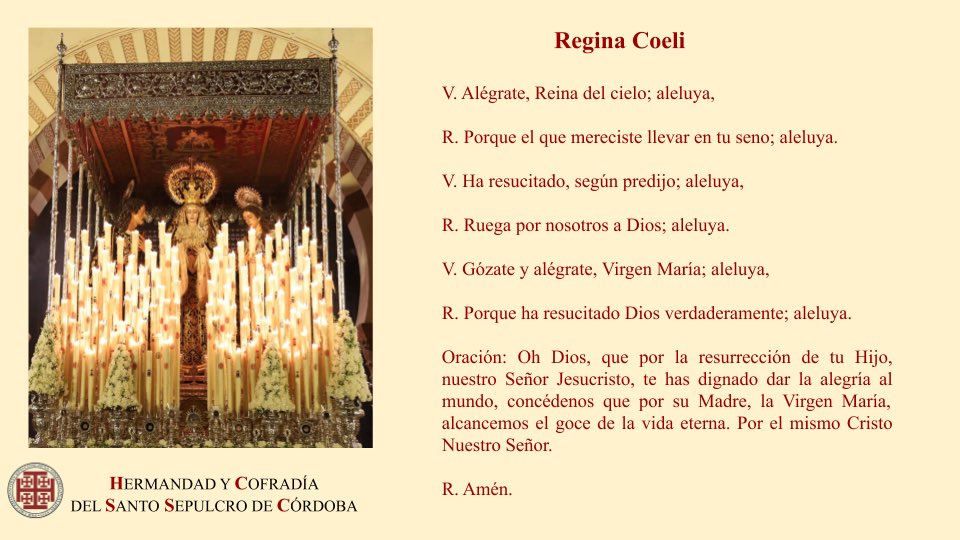 Como cada año recordamos que en el Tiempo Pascual se reza el Regina Coeli en lugar del Ángelus.