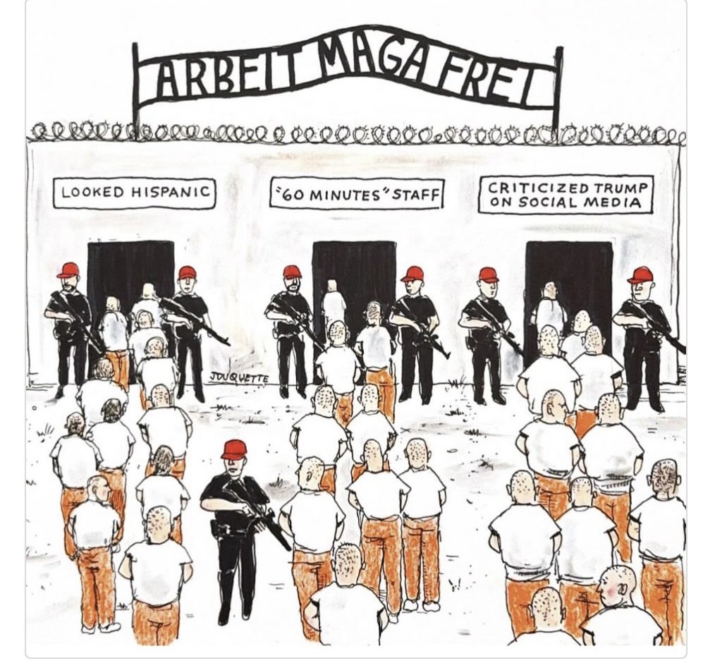 Political Commentary tweet media