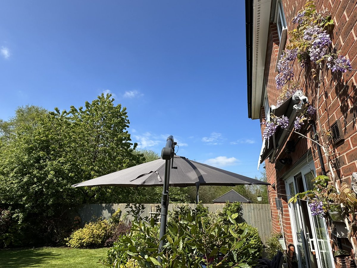 MunchPudding's tweet photo. Good morning everyone and everyfur and Happy Easter! 🐣 🐰 🥚 😻 My sun is back, just at the right time! ☀️ 💙 And my wisteria will also be pleased about the weather🪻 We hope you all have a lovely day! #Hedgewatch https://t.co/qNeAVnMYnq