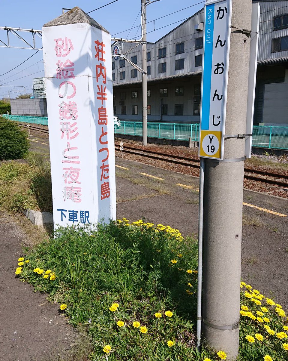 takase_daibo's tweet image. JR観音寺駅🚉2・3番のりばの花壇にガザニア🌻がたくさん綺麗に咲いています🌼

#ガザニア #花壇 #観音寺駅 #春 #花 #観音寺市