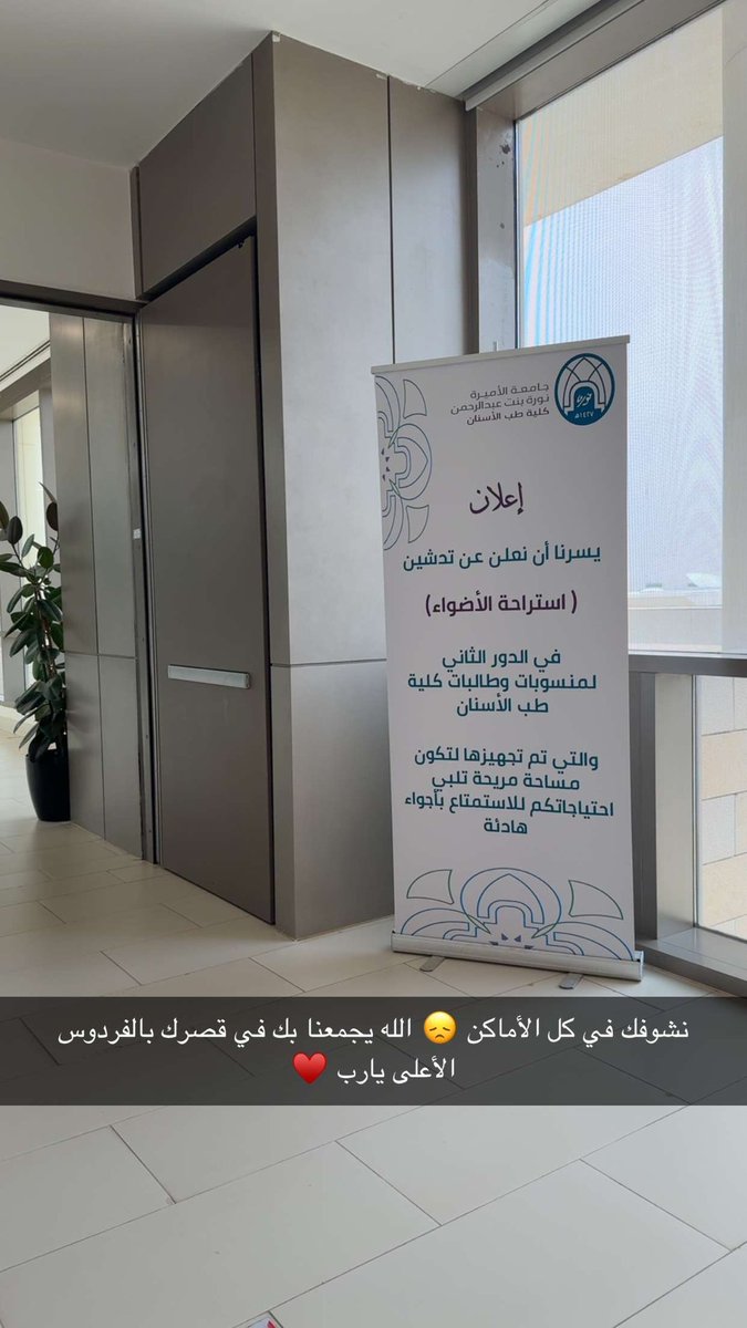 #أضواء_الحميدان 🤍