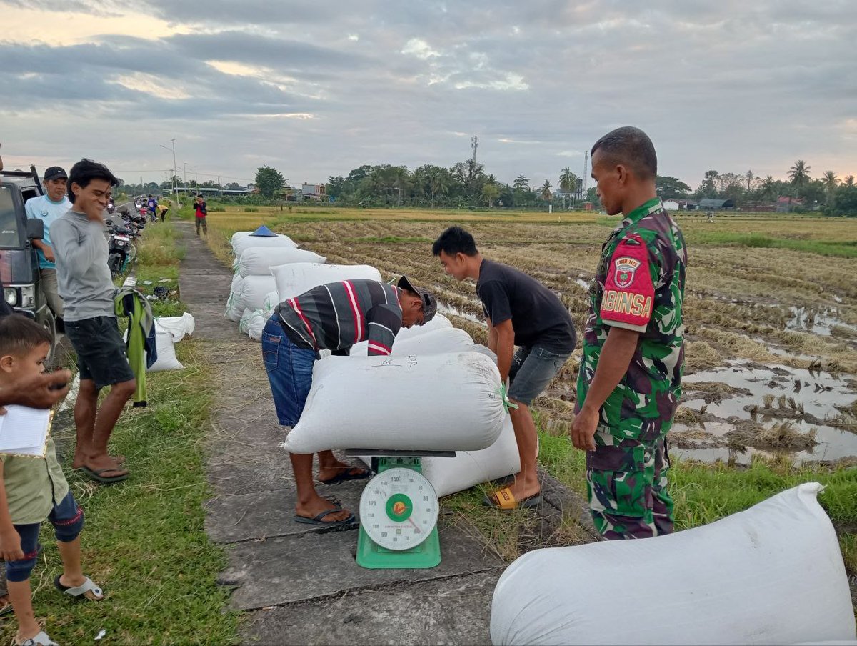 babinsa1422's tweet photo. kami hanya menjaga untuk meyakinkan terwujudkan ketahan pangan. bukan untuk mengambil alih, #ketahananpangan #babinsadanpetani #petani #gabah https://t.co/Dq887UL0Qp