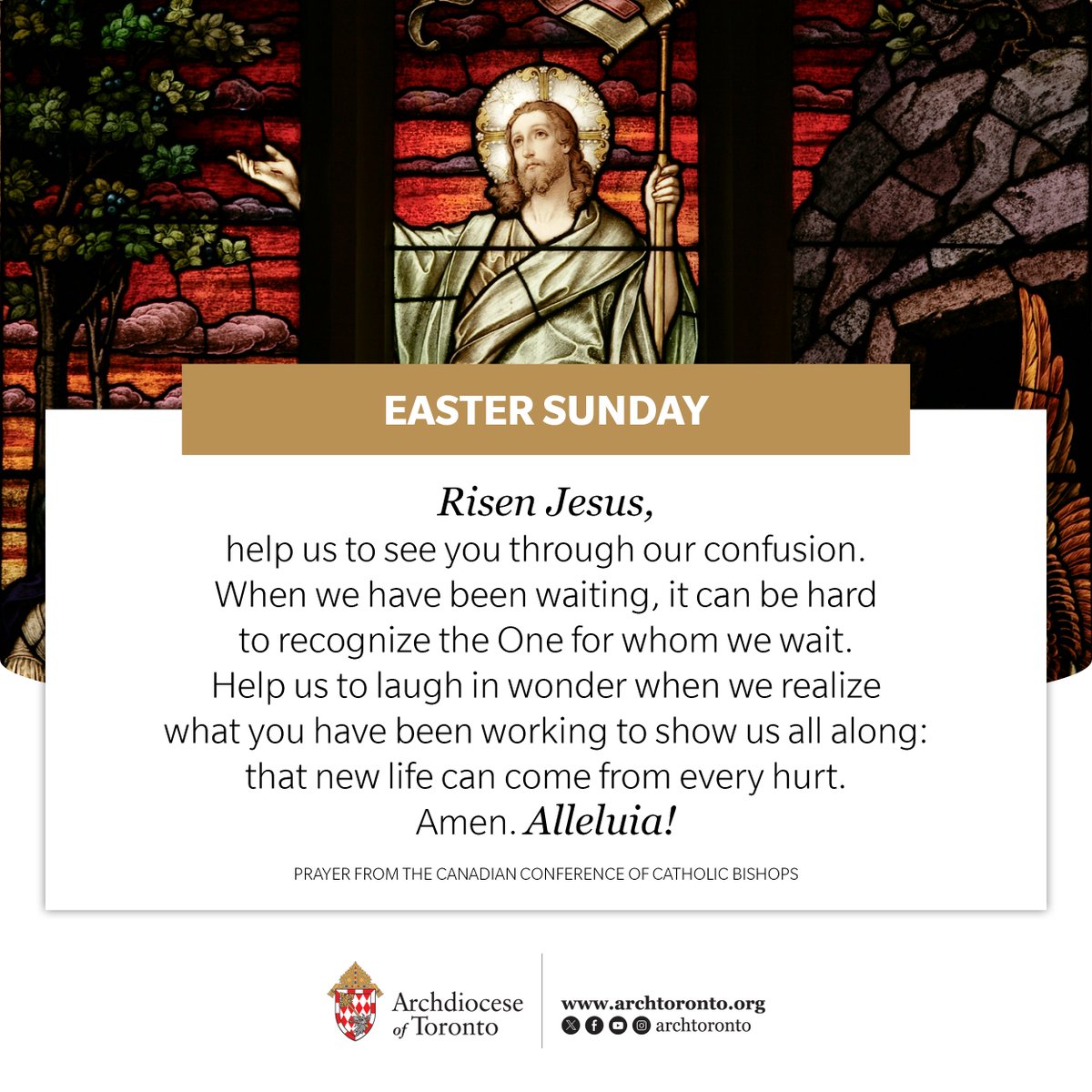 Risen Jesus, help us to see you through our confusion. Help us to laugh in wonder when we realize what you have been working to show us all along: that new life can come from every hurt. Amen. Alleluia! <a href="/CCCB_CECC/">CCCB</a>  #catholicTO #HappyEaster