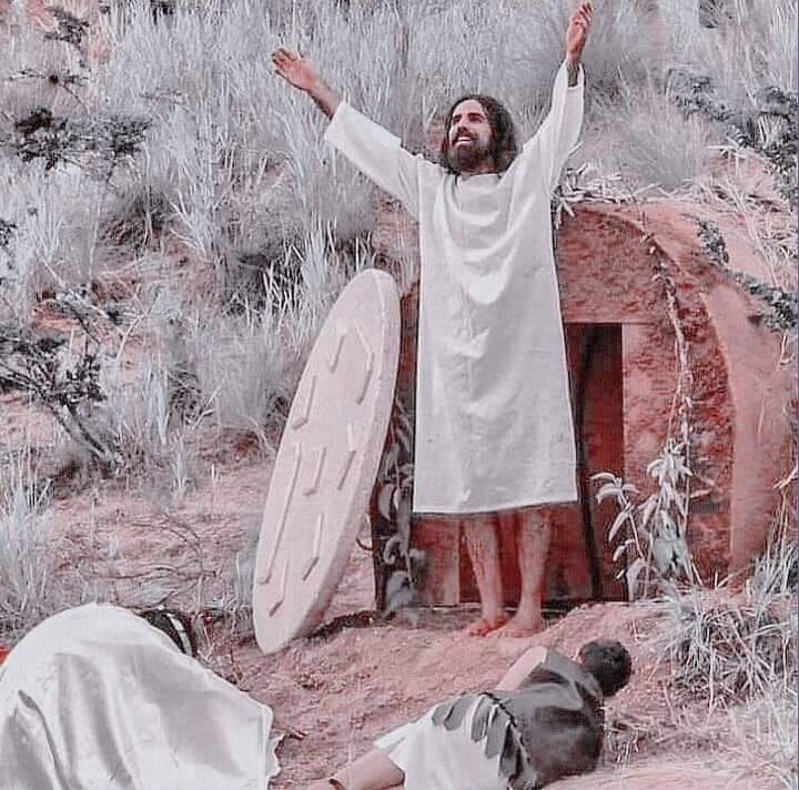 Porque Ele vive,  posso crer no amanhã!❤️🕊