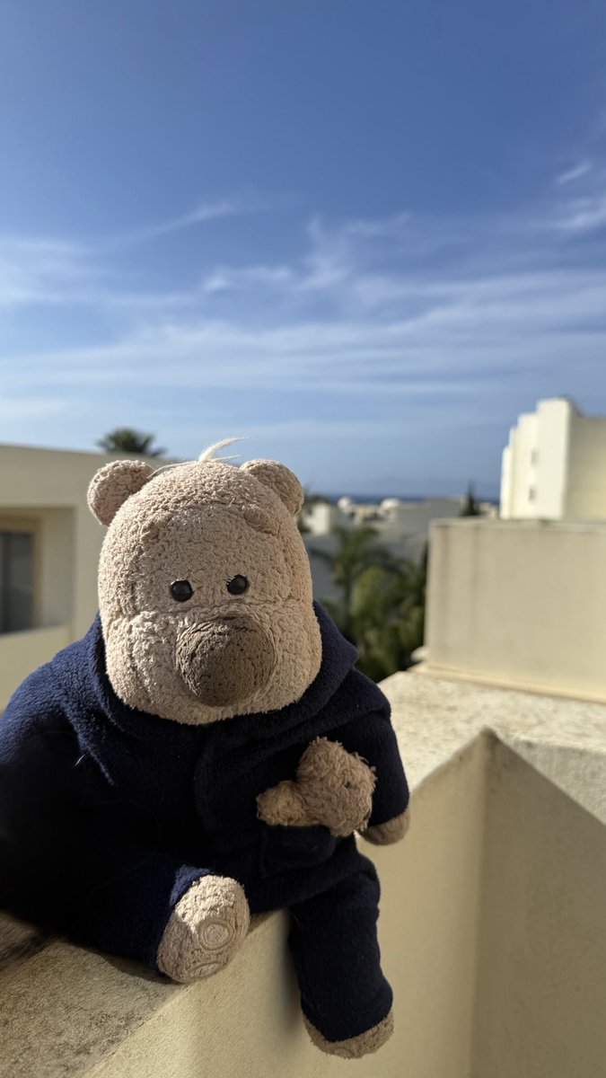 Happy Easter everyone, I’m having a little break in the sun with my humans 🥰 #happybearface