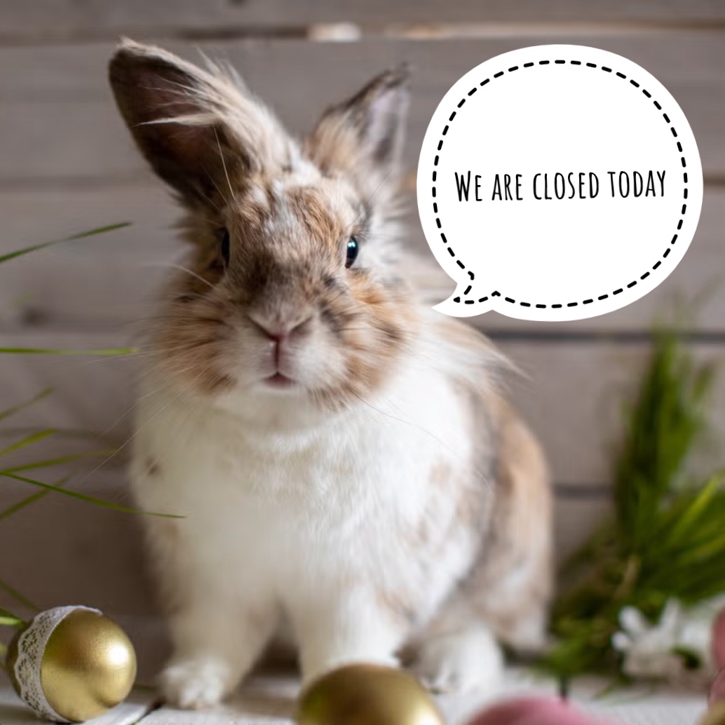 🐰🥚 We're off on an Easter egg hunt adventure! 🌼✨ Our doors are closed for the festivities, but we'll be back and ready to serve you on Monday. Enjoy your Easter weekend! 🐣💐 #EasterFun #SeeYouMonday