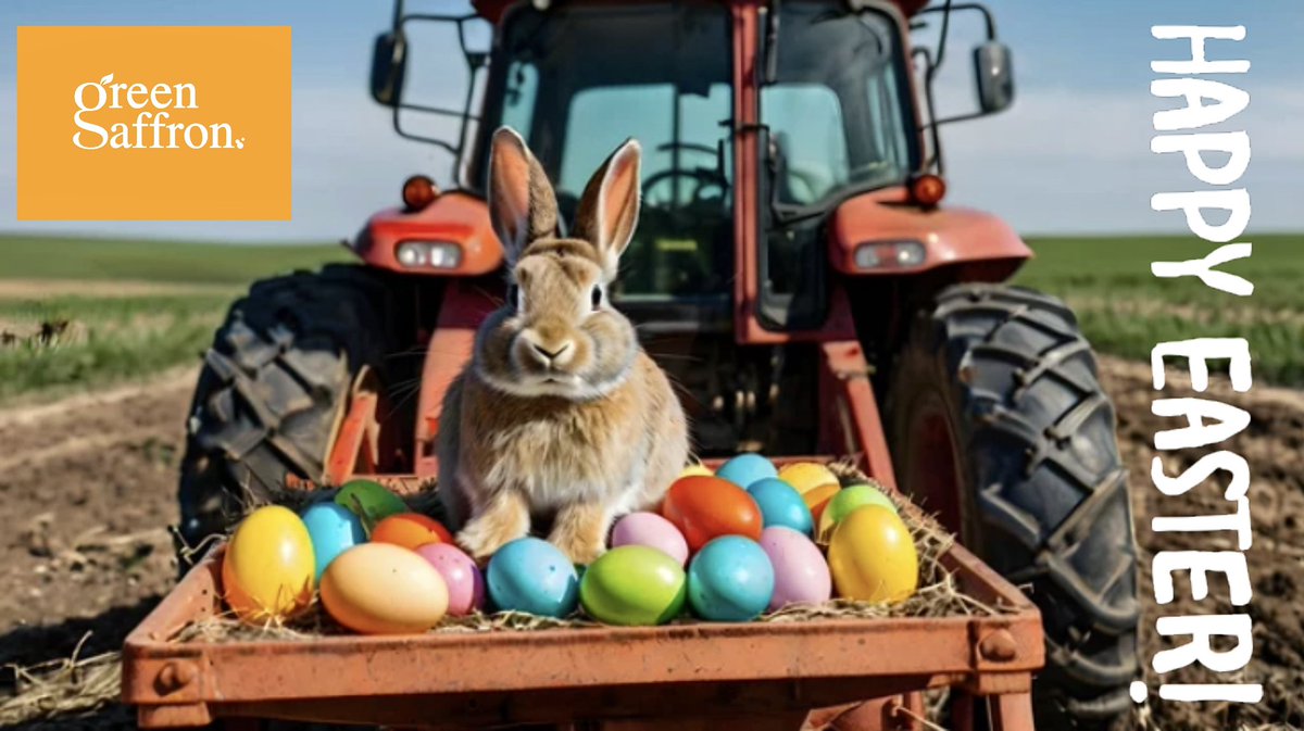 greensaffron's tweet photo. Happy Easter! Wishing the most wonderful, spicy weekend! 🐣💚🩵🩷💛🧡☘️🌶️ #eggcurry https://t.co/sMU6elf1SA