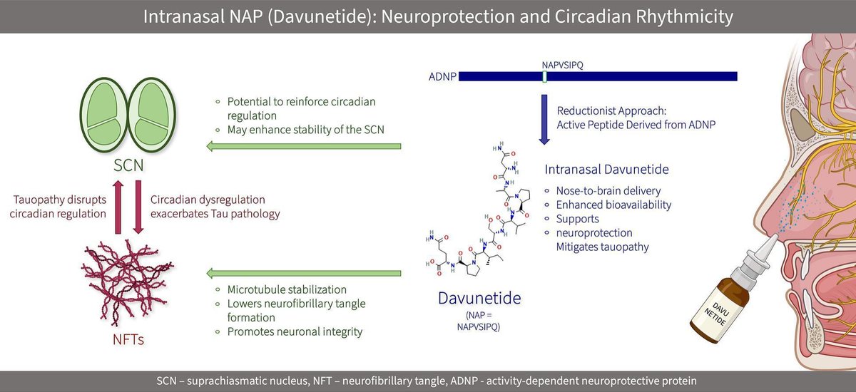 Editors of Advanced Drug Delivery Reviews (@addreditors) on Twitter photo ADDR 50 days' free access: Intranasal NAP (Davunetide): Neuroprotection and Circadian Rhythmicity.
By Illana Gozes <a href="/TelAvivUni/">Tel Aviv University</a>
#BrainDelivery #intranasal #tauopathy #CircadianClock
kwnsfk27.r.eu-west-1.awstrack.me/L0/https:%2F%2… ADDR 50 days' free access: Intranasal NAP (Davunetide): Neuroprotection and Circadian Rhythmicity.
By Illana Gozes <a href="/TelAvivUni/">Tel Aviv University</a>
#BrainDelivery #intranasal #tauopathy #CircadianClock
kwnsfk27.r.eu-west-1.awstrack.me/L0/https:%2F%2…