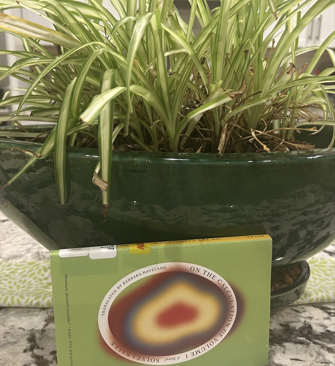 thenextpage22's tweet photo. #OntheCalculationofVolume
Book 1
#SolvejBalle
Our communication, initially meaningful and coherent, turns into a series of fitful exchanges containing neither sentences nor information: little words and sounds meant…to keep the line between us open…. https://t.co/a1uWrd03hn