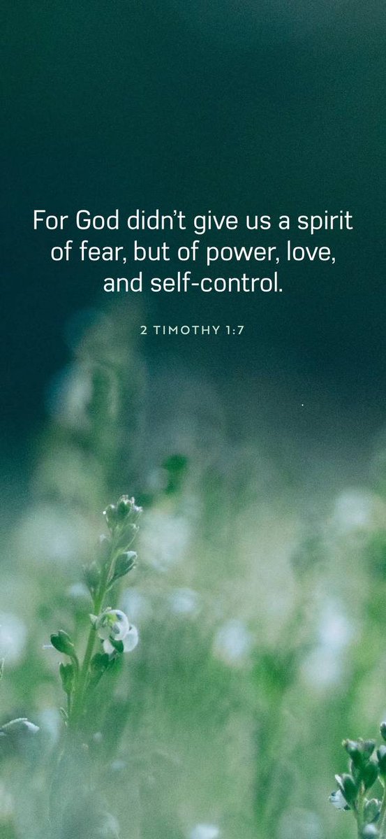 L. SrAgnesAnne Bloom (@lbloom6391) on Twitter photo 