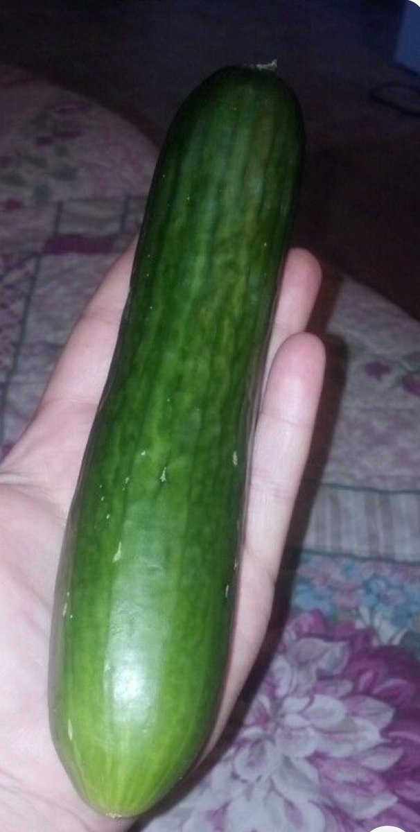 مساء الورد 🌹 شباب وصبايا اشكم مره مستعملين هاذ الشي اريد جواب حبايبي