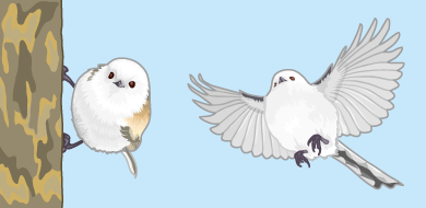 「鳥」にイラスト素材を追加しました。 
シマエナガ素材です。
 シマエナガは北海道に生息する
雀よりも小さな野鳥です。 
「シマエナガ1」「シマエナガ2」 
「シマエナガ3」「シマエナガ4」
 freecut.xyz/freecut39/free…
