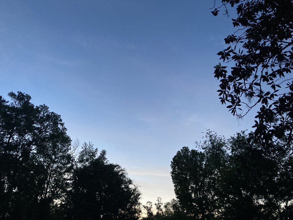 NGamblin's tweet image. He has Risen, Glory to God!