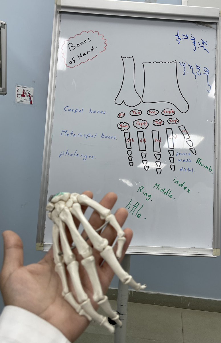 خالد آل الشيخ tweet media