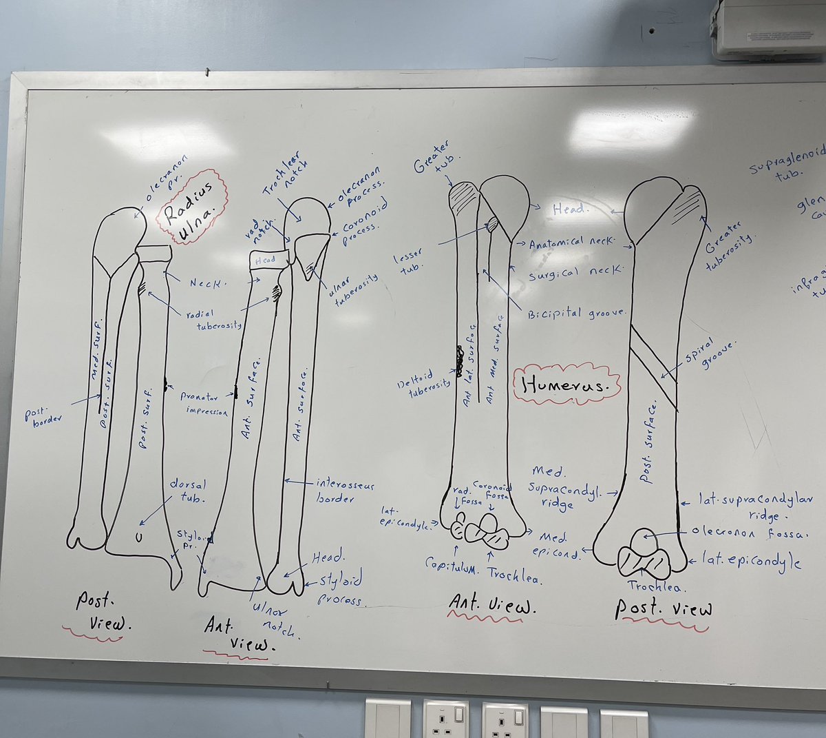 خالد آل الشيخ tweet media