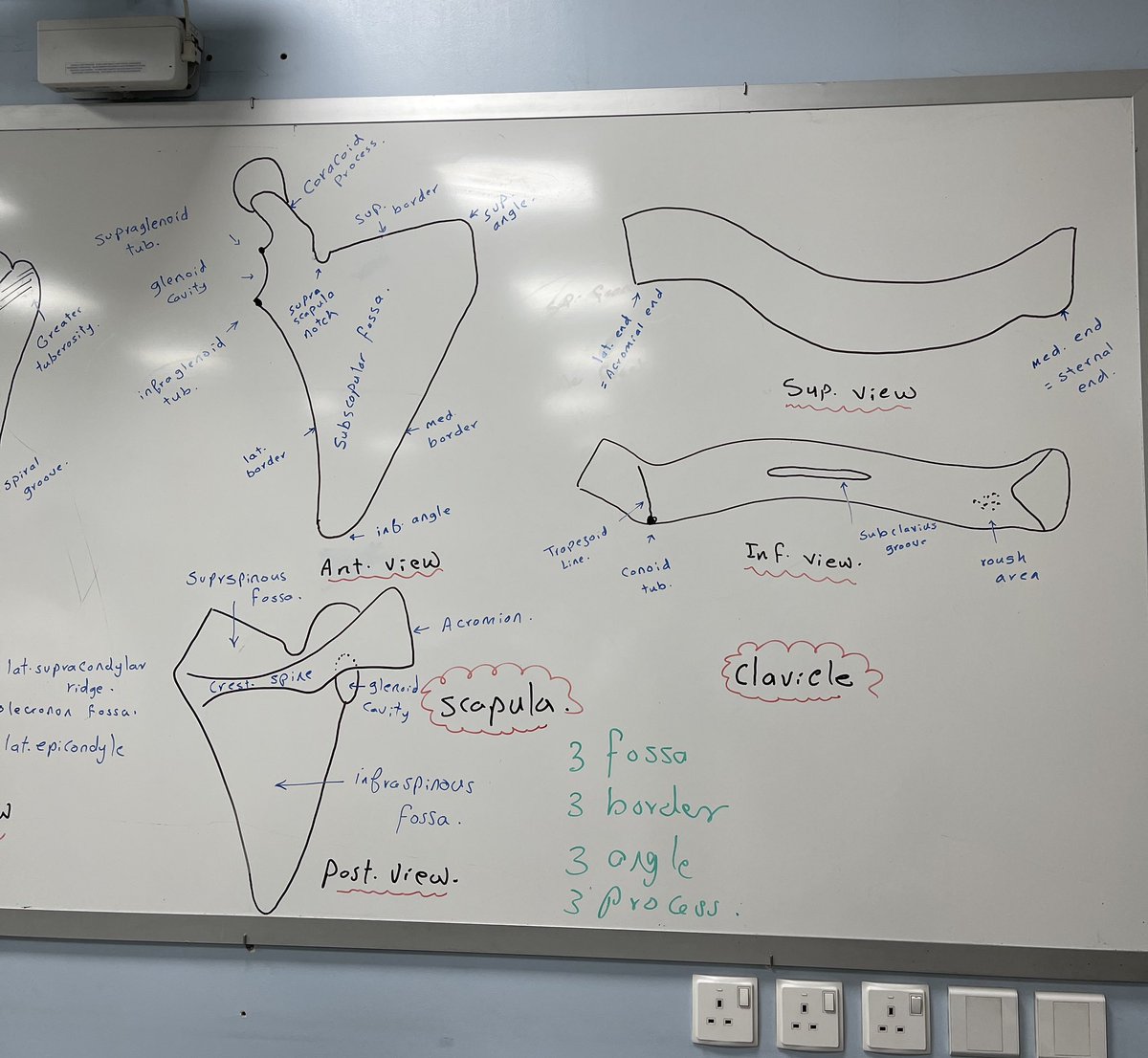 خالد آل الشيخ tweet media