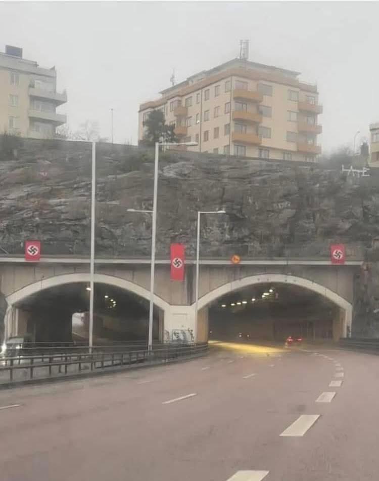 Leo Vene tweet media