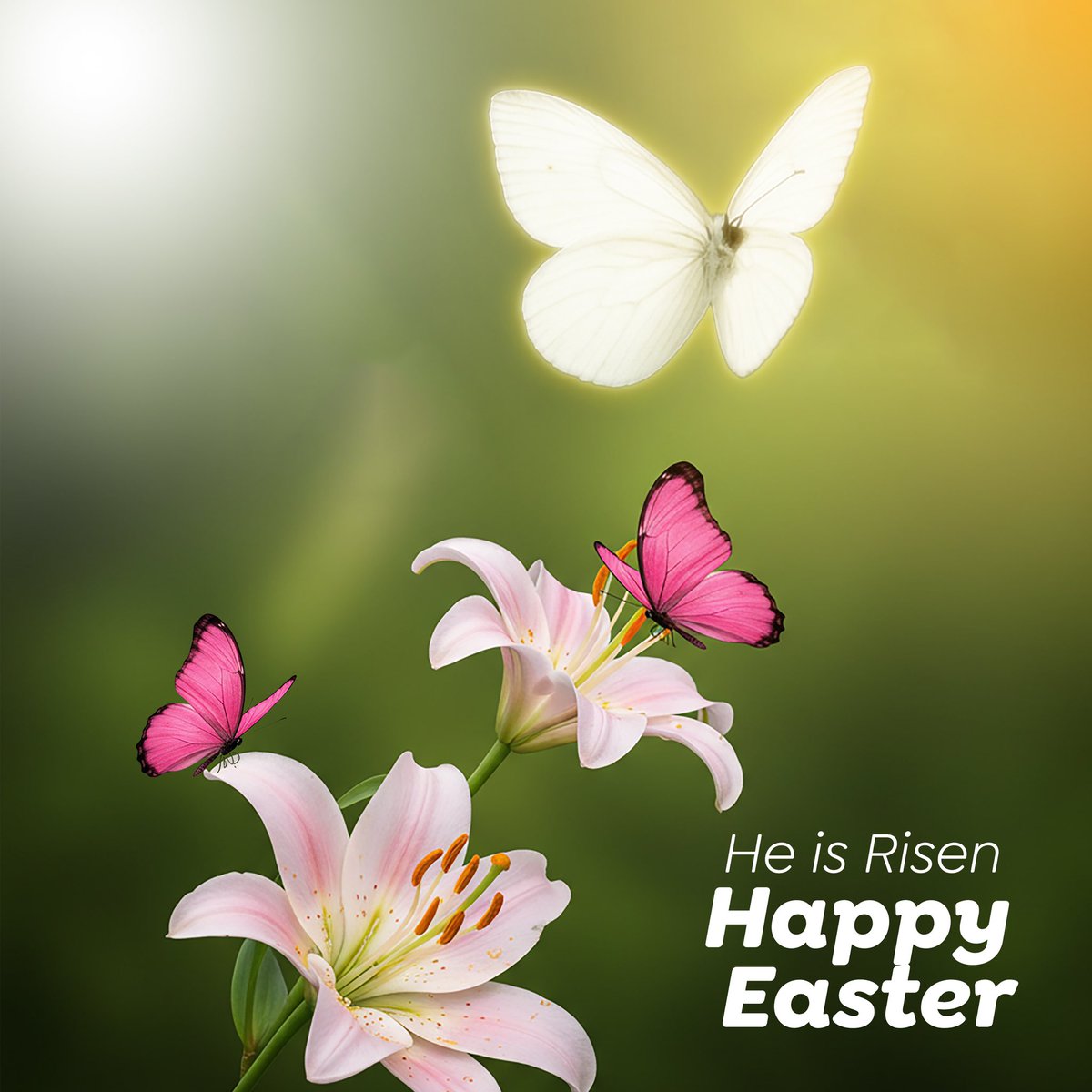 Divassecretng's tweet photo. May the blessings of the season keep radiating beauty☀️🌅

Reveal your inner glow from within. From all of us at Diva’s Secret Nigeria, Happy Easter 😊

#divassecret
#revealyourdiva
#HappyEaster https://t.co/wExuAwwzYq