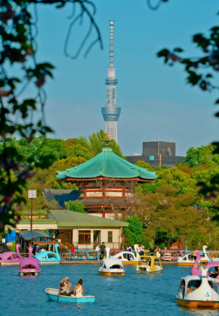 東京、上野公園の弁天堂の隣にある不忍池でボートに乗り、東京スカイツリーを眺め、日本のスタイルと現代の都市の完璧な融合を体験してください。爽やかな風と豊かな緑に囲まれた、休日の旅行に最適です。