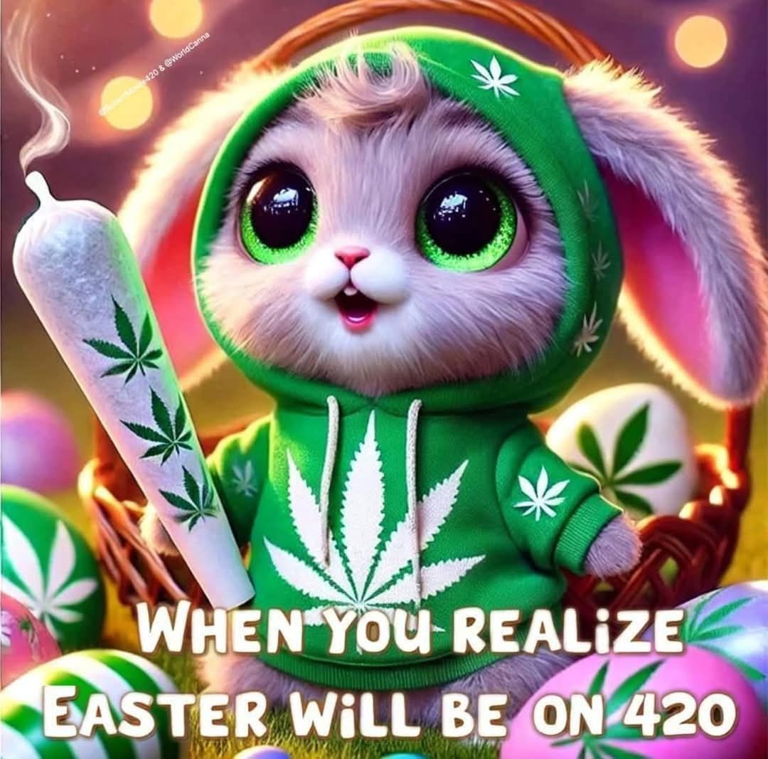 kismetceo's tweet photo. Welcome to 420 ..... Elevate yourself today with some products from our adult basket! Feel free to shop my dispensary:
https://t.co/5yOQQyhZWF https://t.co/ofmQ8PSwMF