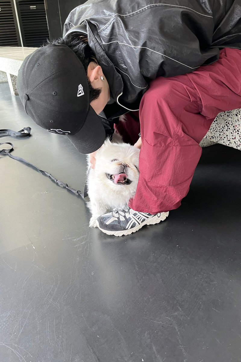 MontOfficial's tweet photo. [📷] 

뿌딩적 가까워지기☕️🦴

#빛새온 #뿌딩 #몬트 
#BITSAEON #PUDING #MONT https://t.co/dEYCLAUjww