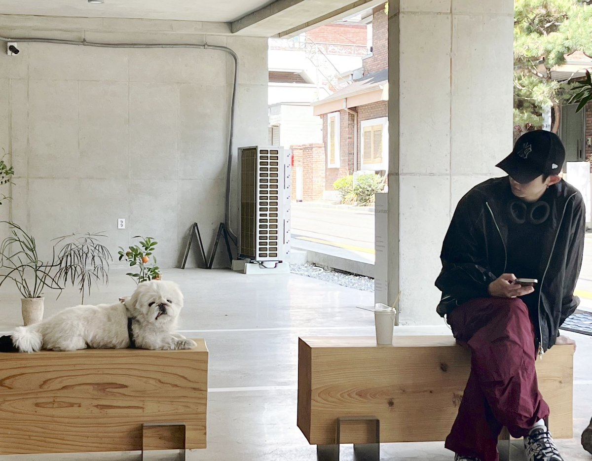 MontOfficial's tweet photo. [📷] 

뿌딩적 가까워지기☕️🦴

#빛새온 #뿌딩 #몬트 
#BITSAEON #PUDING #MONT https://t.co/dEYCLAUjww