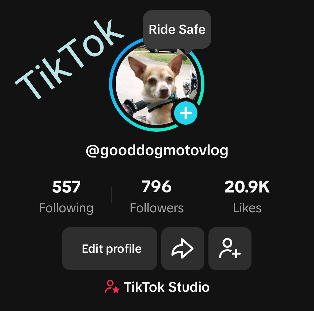 GoodDogMotovlog's tweet photo. You can find us on TikTok 😃 https://t.co/ToFlkHzDAz