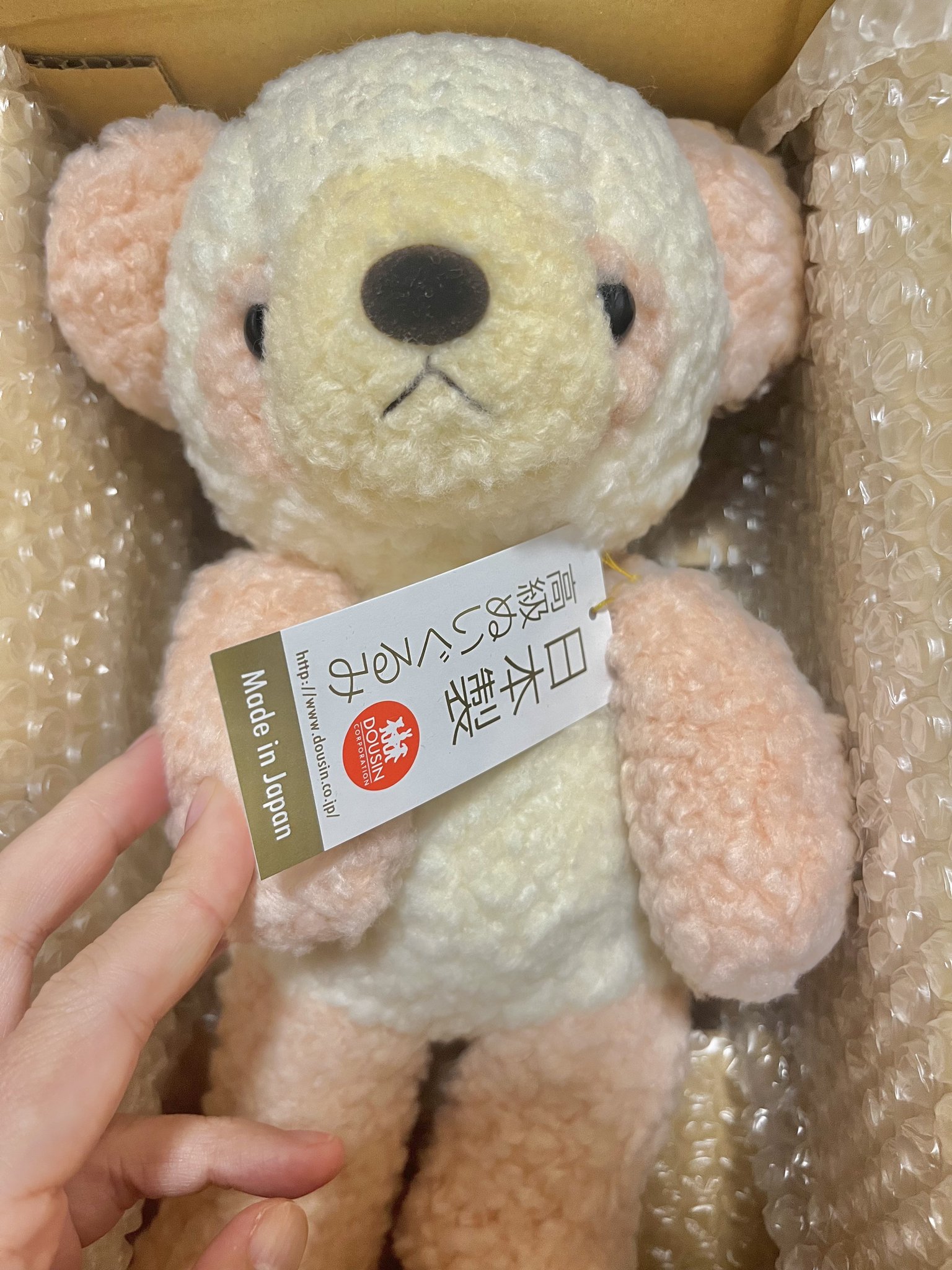 ふぁずましのぶ on X: 