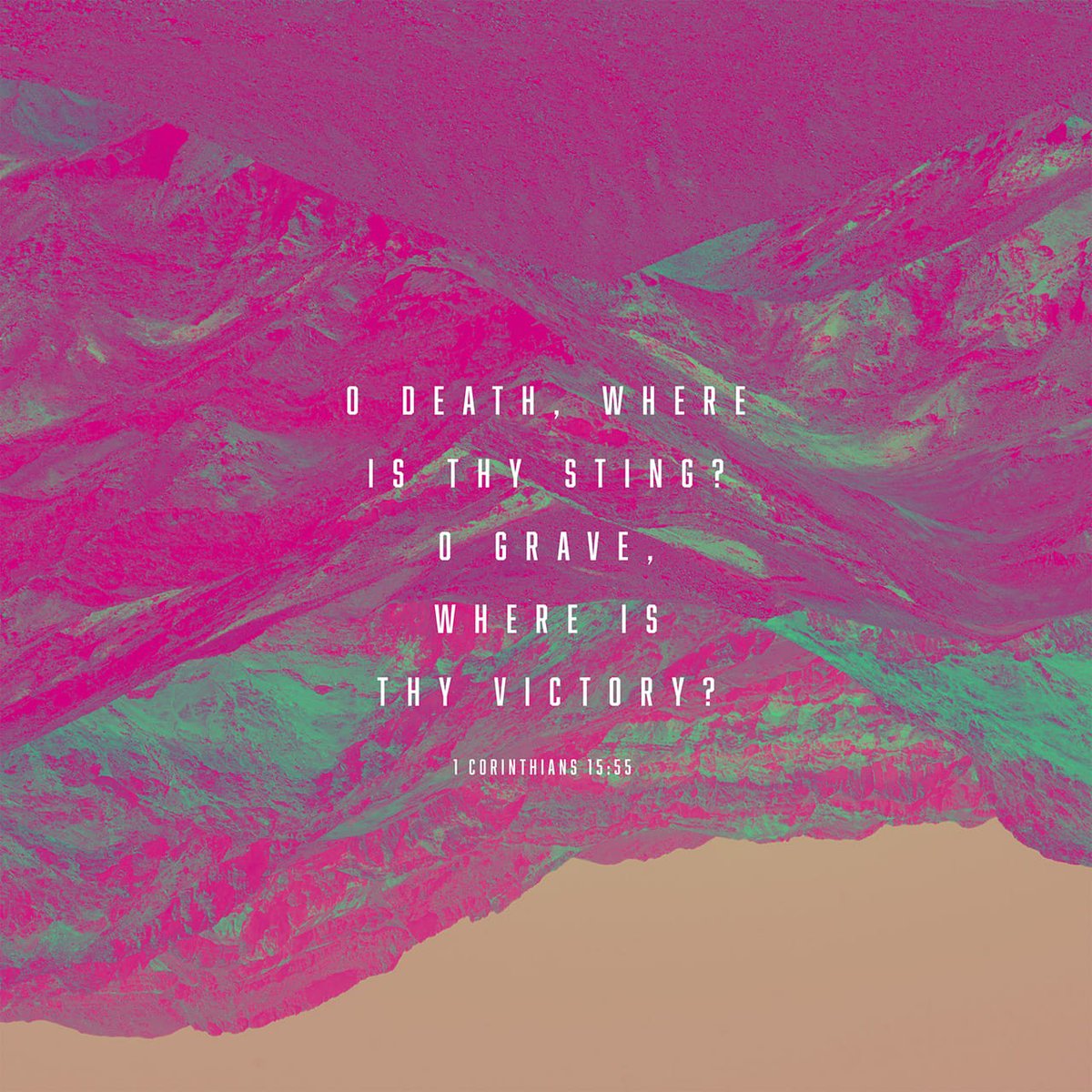 Kevin Vanderwal (@coach_vanderwal) on Twitter photo 