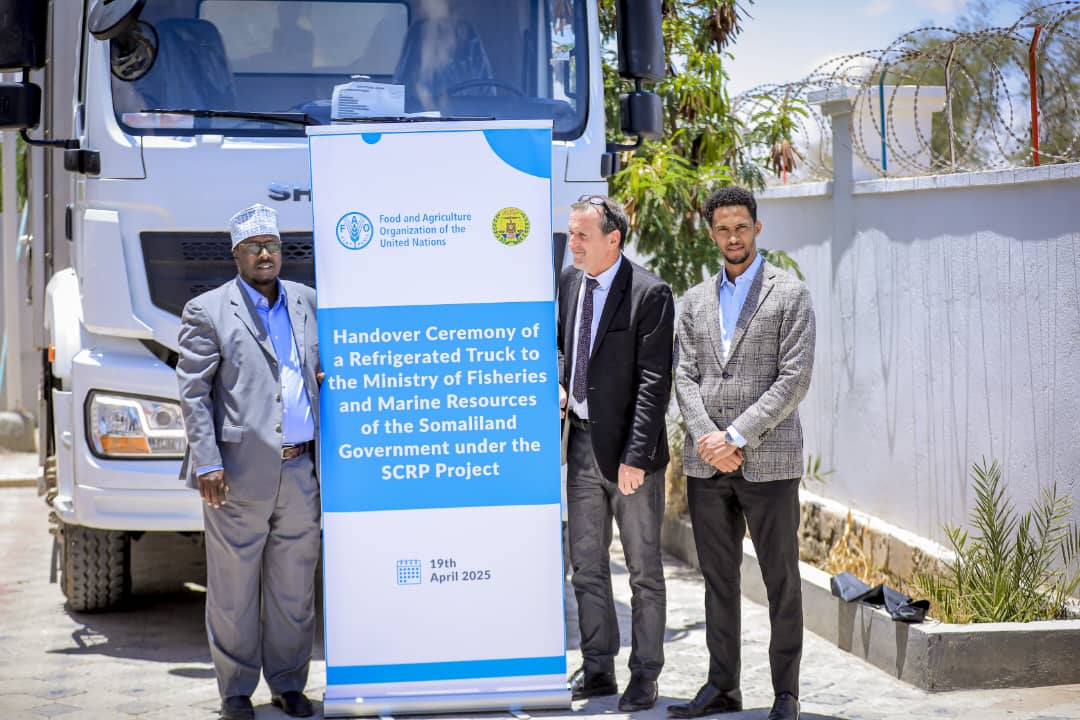 FAOSomalia's tweet photo. Key milestone in #Somaliland as FAOR, @EPeterschmitt, hands over:

🚛Refrigerated truck to MoFMR (Hon Ali Jama) → fish safety
🚙A vehicle to MoECC  (Hon Abdillahi Jama) → ministry capacity

Also engaged MoPD

Thank you @ScrpSomalia for the collaboration! 

#4Betters https://t.co/2HUGmqbzOC