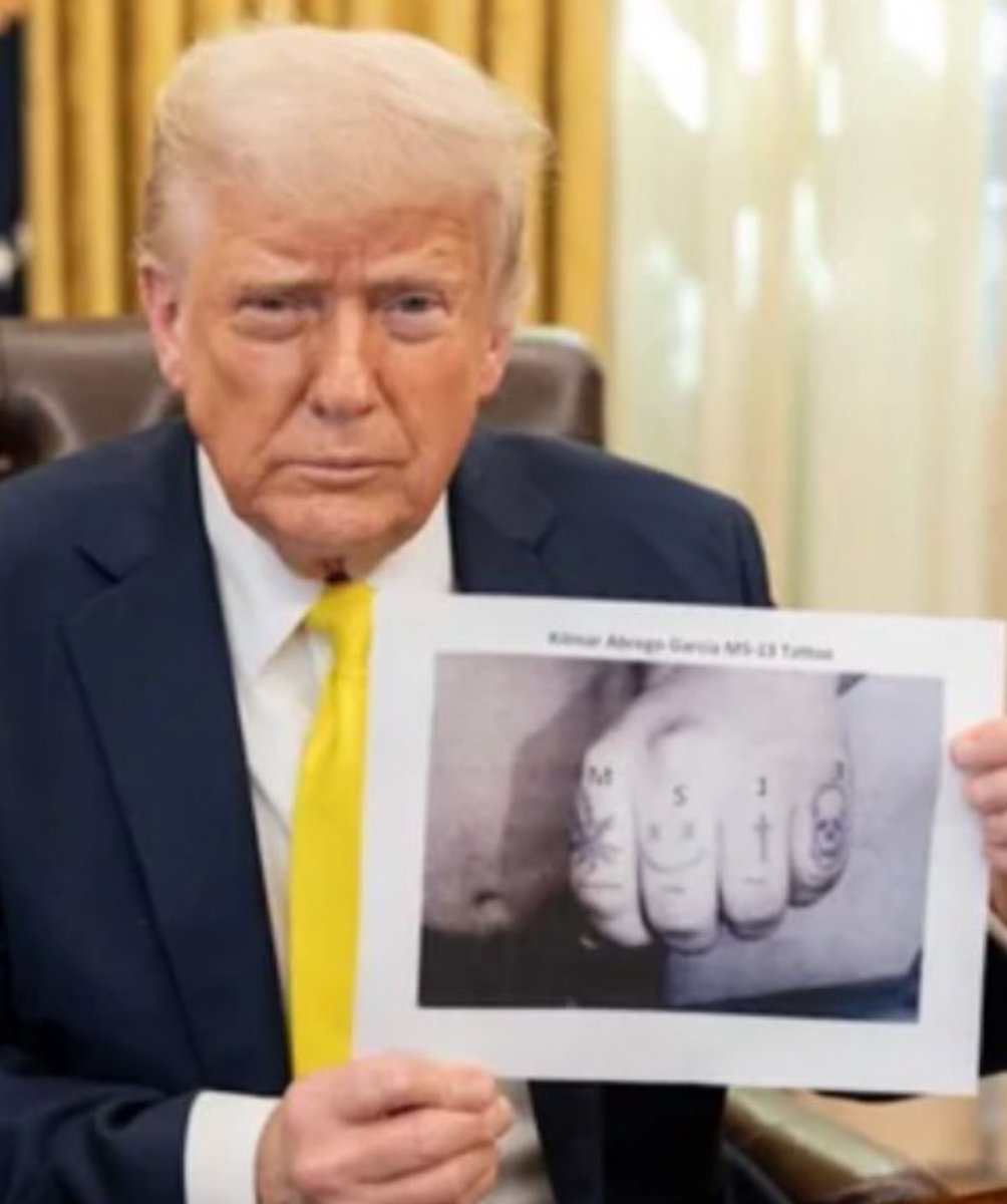 Brian Krassenstein tweet media